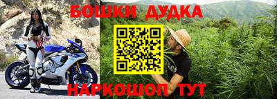 PSILOCYBIN Новодвинск