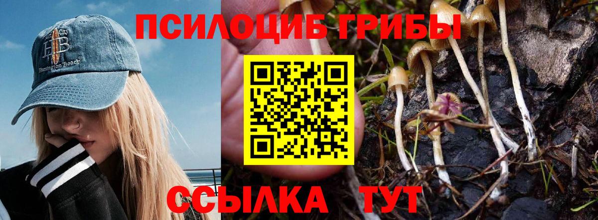 купить  цена  Вход с VPN  Чебаркуль  Псилоцибиновые грибы ЛСД 